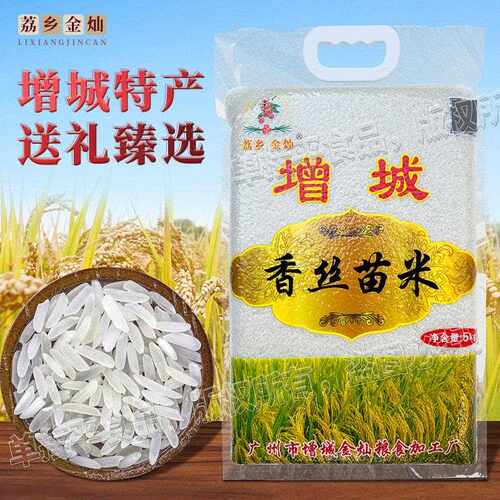 新疆包邮广东广州增城香丝苗米特产一级南方细长粒香家用送礼大米