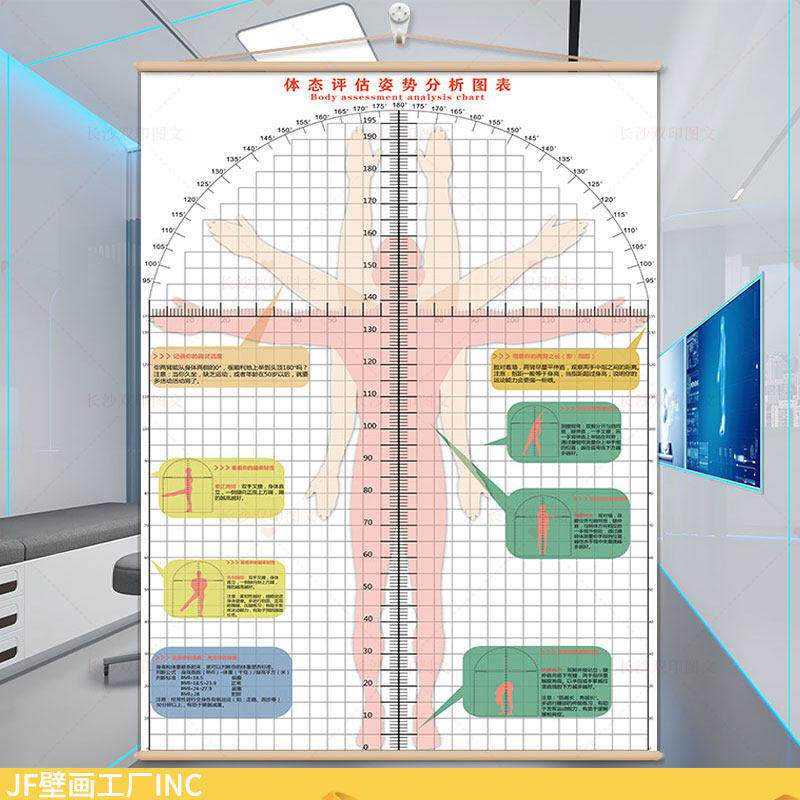 挂式体测评估图脊椎健康骨科诊室健身房私教医学体态姿势矫正系统