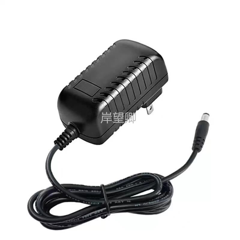 通用恩隆按摩器按摩垫按摩枕头披肩DC12V2A24W充电器电源适配器线