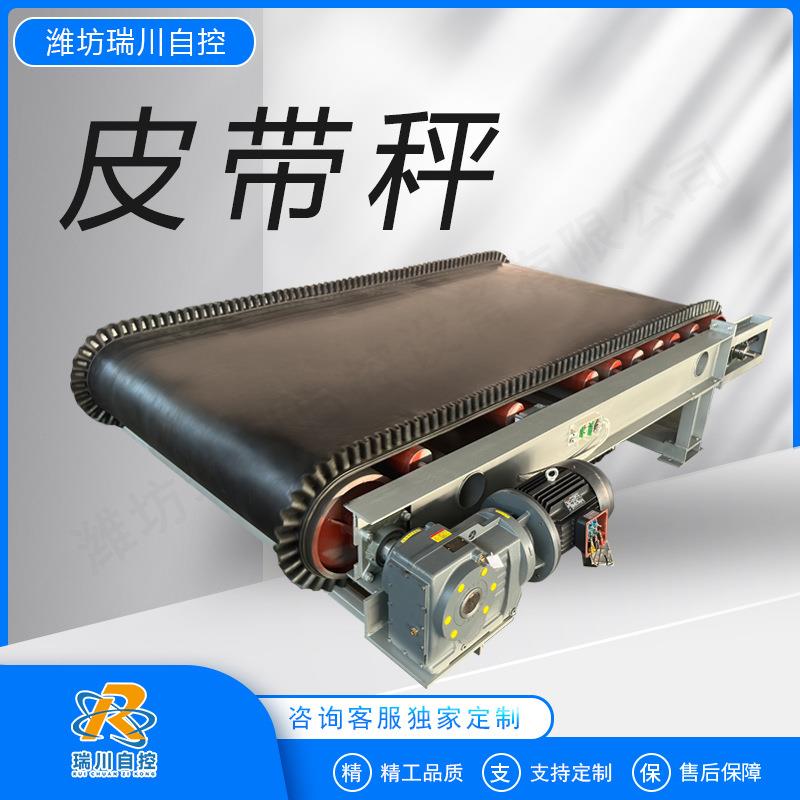 定量给料机建材水泥化工计量皮带秤配料流量秤称重下料机高精度
