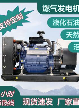 河南沼气工程配套发电机组 300KW养殖场污水厂 燃气发电机组厂家