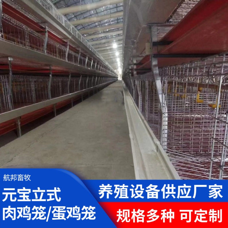 全自动层叠元肉鸡笼热镀锌多层立体自动上料饮水清粪养鸡设备