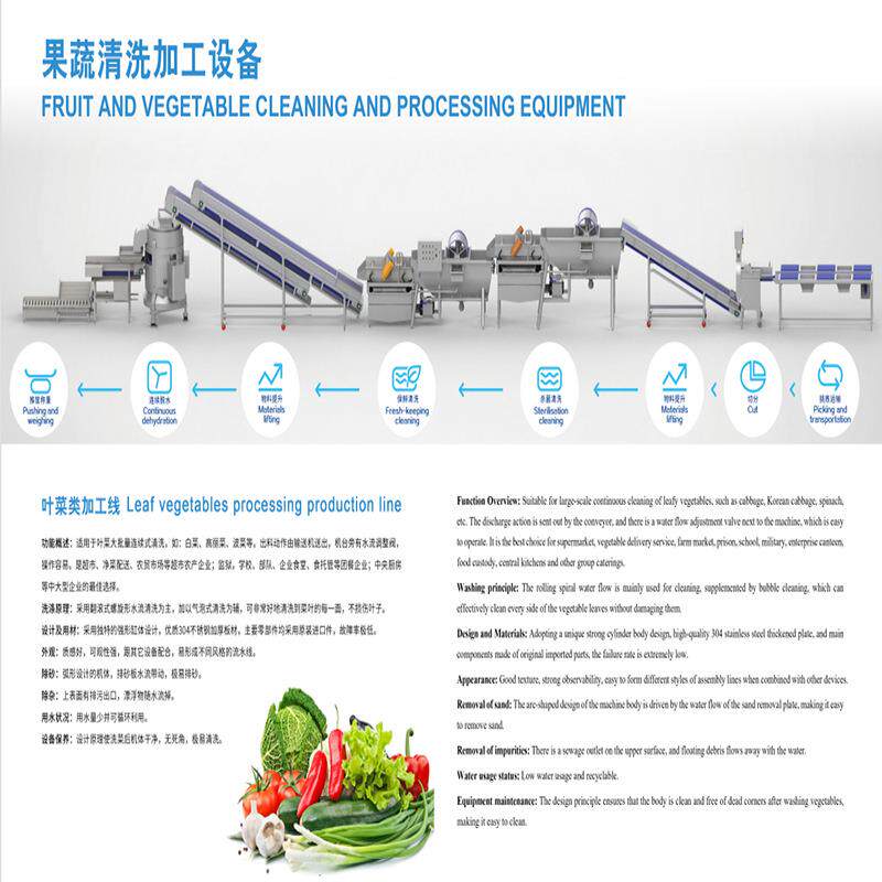 洗菜机旋流洗菜机叶菜类根茎类果蔬清洗加工生产水果清洗设备
