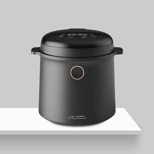 掌声能智迷你电饭煲 2L厂饭锅 两人用33M4020家多功能内双胆米汤