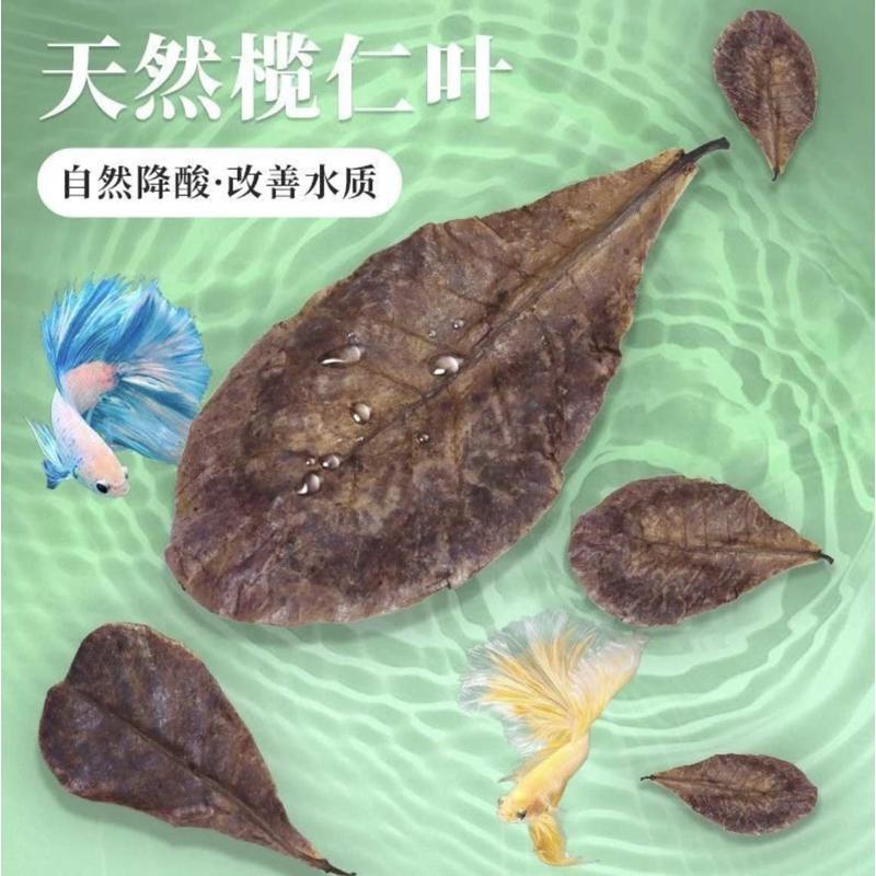 斗鱼榄仁叶鱼缸懒人调节ph值降低水族降碱性调节剂乌龟酸碱调节