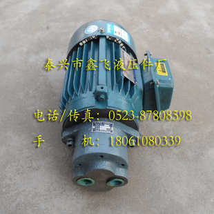 B32JZ直插式 B25JZ B20JZ 齿轮油泵电机组 B16JZ