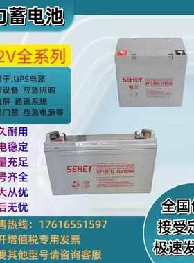 SEHEY西力蓄电池SH-NP12V7AH24AH38AH65AH100AH150AH200AH机房UPS
