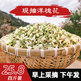 2024年陕西秦岭野生洋槐花新鲜花骨朵花苞，新鲜蔬菜野菜槐花菜