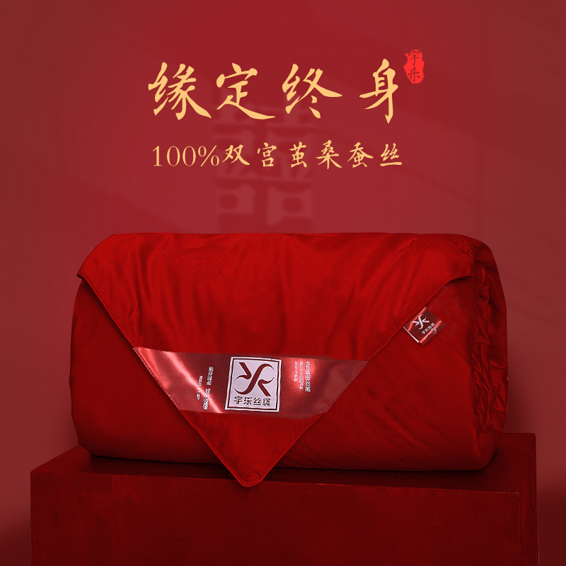 蚕丝被桑蚕丝冬被春秋大红色喜被子被芯空调结婚婚庆陪嫁新婚婚被