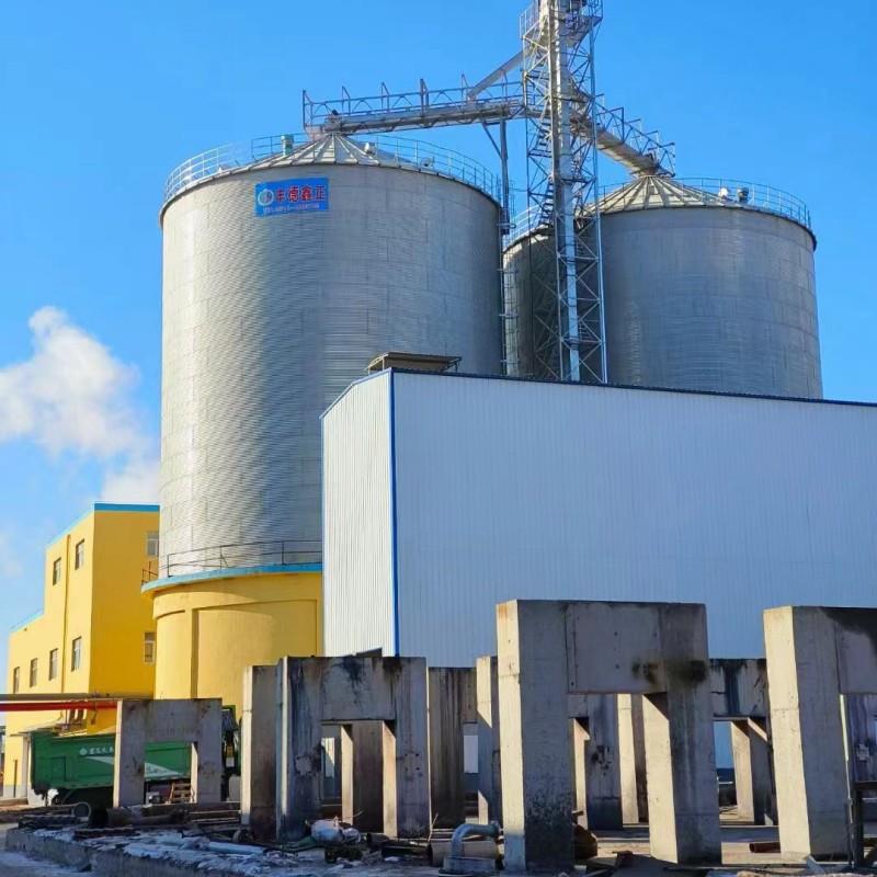 粮食钢板仓油脂厂食品厂用镀锌储罐1000吨小麦水稻立筒仓大型通风