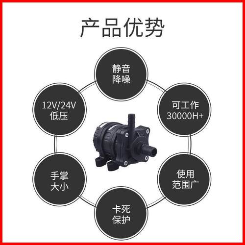 zksj中科世纪DC40工业泵增压直流泵12v24V加压潜水泵机械泵高扬程