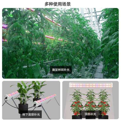 植TSZ2物补光灯管10W西红柿瓜萄草莓蔬菜大棚藤架种黄植育苗生葡
