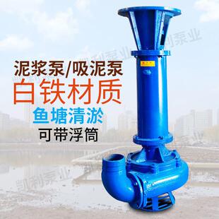 立式泥浆抽沙泵吸沙泵河底液下池泵塘清淤排泵耐DUJ磨渣泵浆抽污