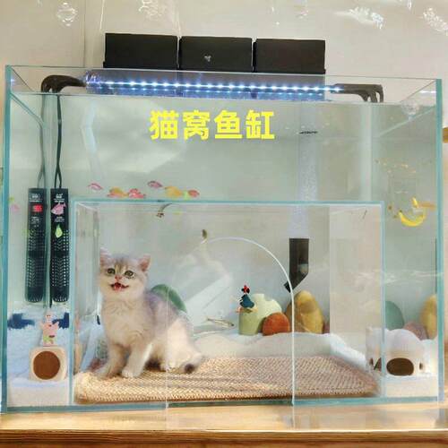 猫观赏鱼鱼缸沉浸式观鱼猫窝真金水晶超白玻璃厂家直销可运海外