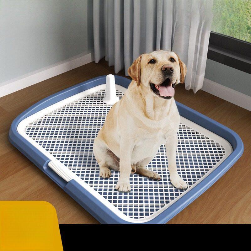 狗狗定点排便神器小型犬中型犬宠物狗大小便神器上厕所专用狗尿盆