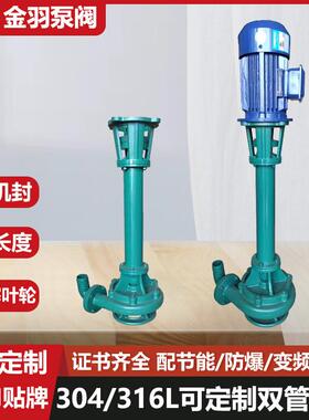 NL100-10单管双管液下泥浆泵 切割型无堵塞排污泵 池塘淤泥输送泵