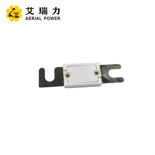 SJ-146442保险片用于 Z-208N,Z-25/8, Z-30/20N, Z-30/20N RJ