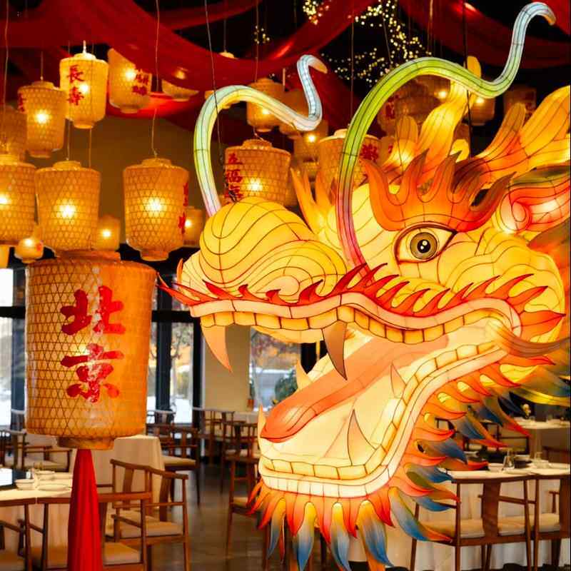 2026现货花灯龙灯彩灯春节元宵节装饰灯会年春节龙年造型花灯制作