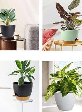 5Pcs Self Watering Planters Wear Resist Creative Plastic
