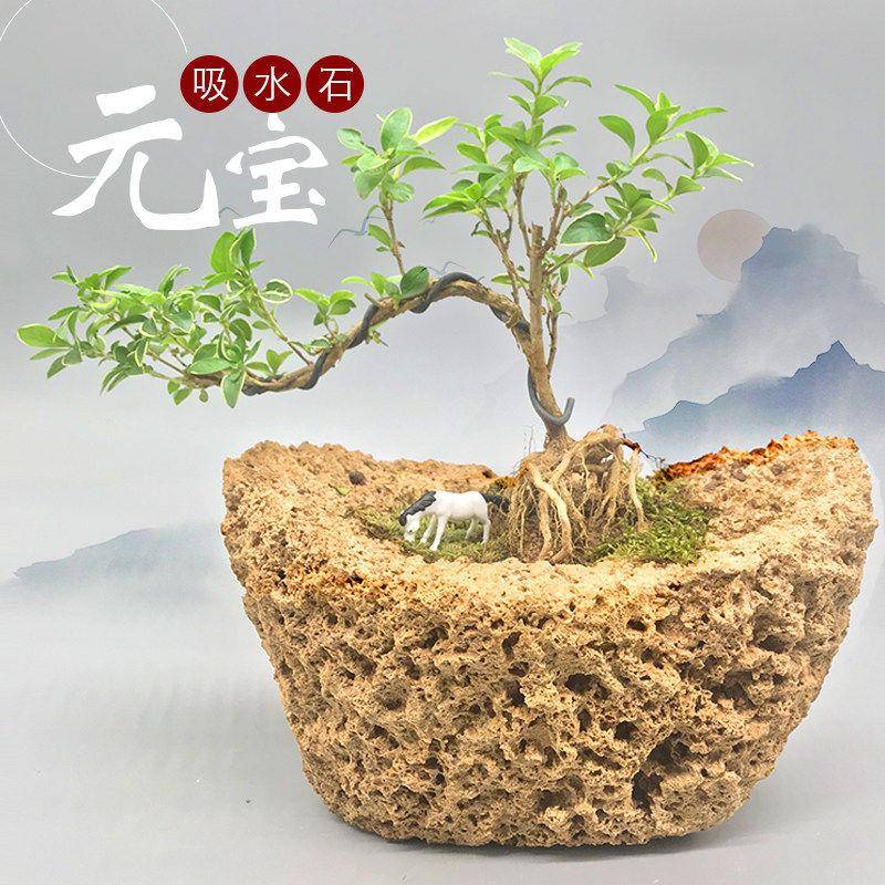 元宝形天然吸水石假山盆景上水石原石假山石头盆景天然原石造景