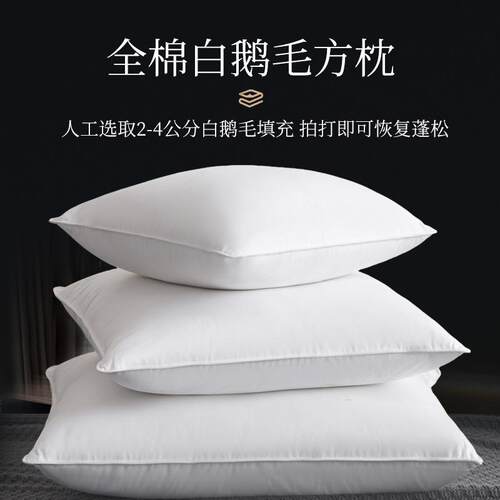 沙抱枕324靠枕床头靠垫腰内胆鹅靠发背枕心毛羽芯绒腰垫床靠大抱