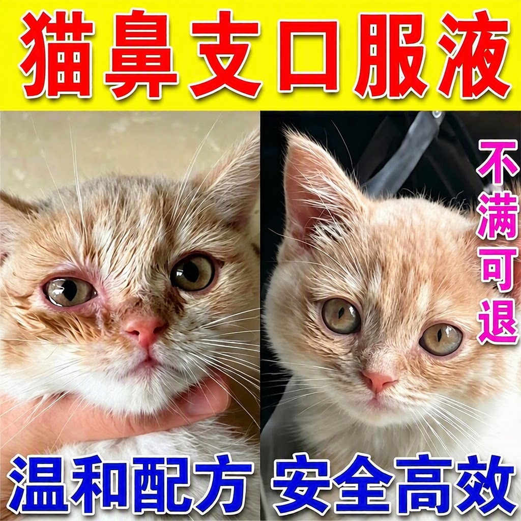 乐医天猫鼻支口服液宠物眼睛泪痕眼屎流鼻子涕精神不佳提升免疫