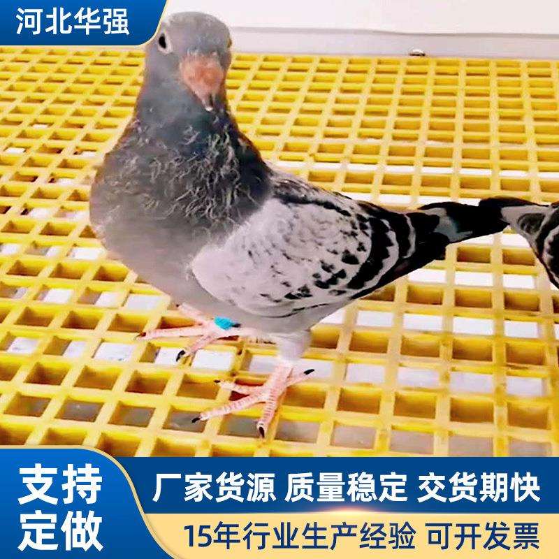 玻璃钢格栅树篦子洗车房格栅养殖场格栅地网格玻璃钢地沟盖板