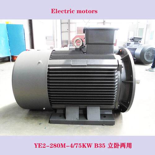 B35立卧两用电机YE2-280M-4/75W400V60HZ效率