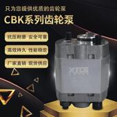 F1.1 4.2 1.6 3.2 4.8升降机油泵 2.1 CBK齿轮泵微型高压油泵CBK