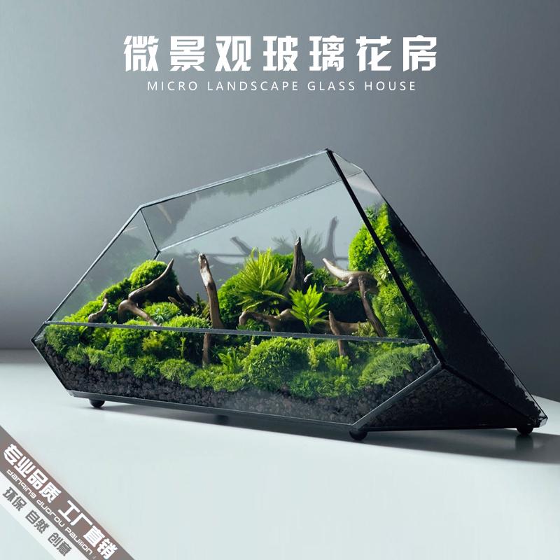 苔藓微景观玻璃生态瓶闷养桌面迷你小盆景造景蒲面青苔雨林水陆缸