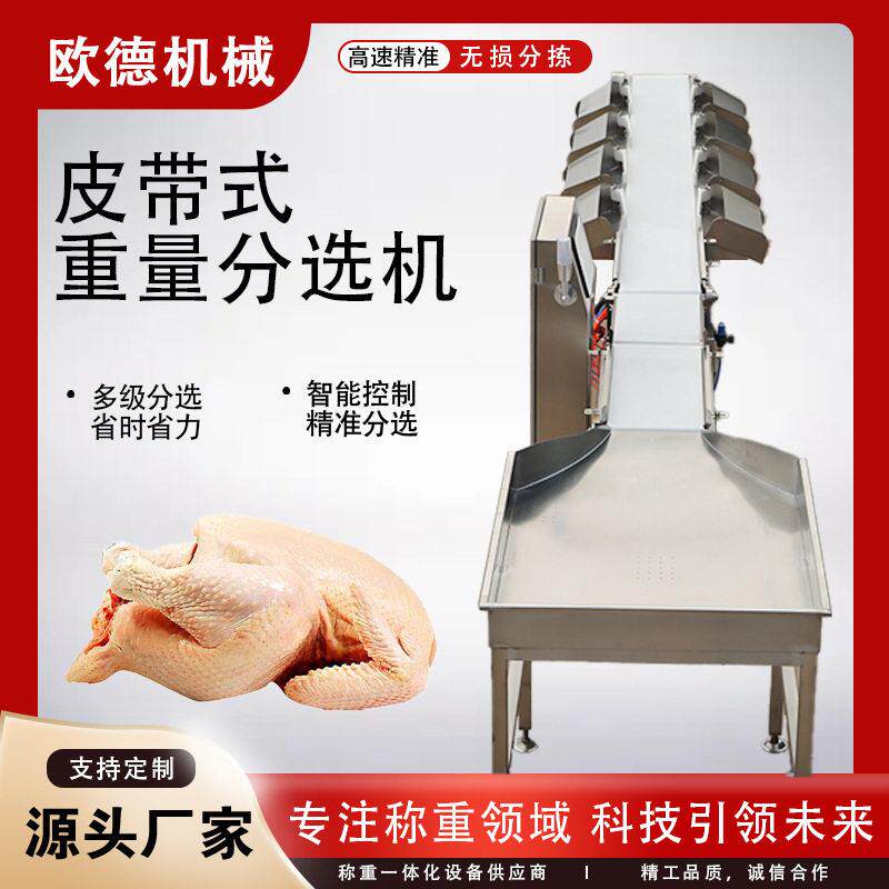 大鲅鱼皮带分级秤使用方便多鱼分选机黄花鱼全自动分级机