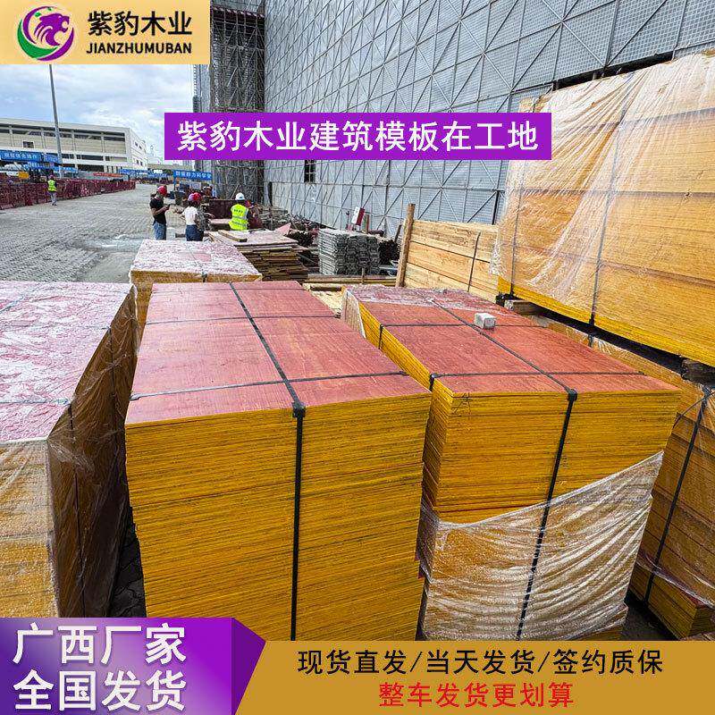 广西建筑模板工程酚醛胶镜面胶合板建筑红板木模板厂家整车