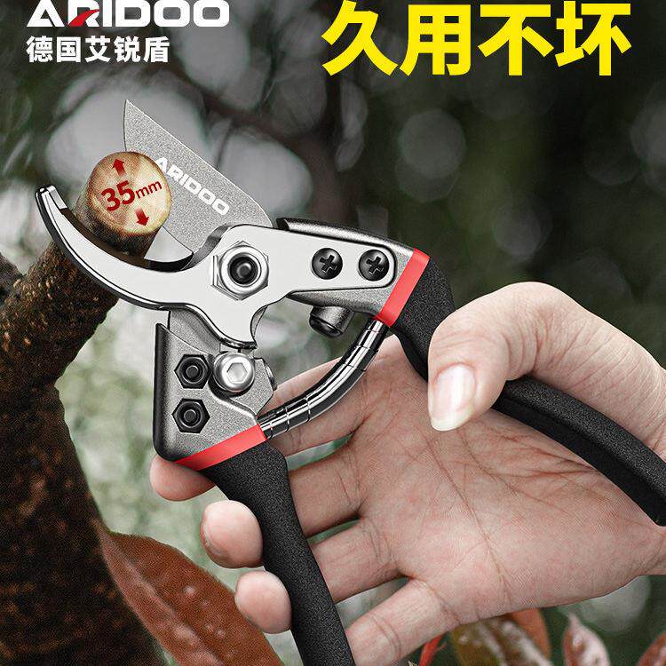 园艺剪刀修枝剪花剪树枝剪花艺专用工具园林修剪果树修剪花卉剪子图片