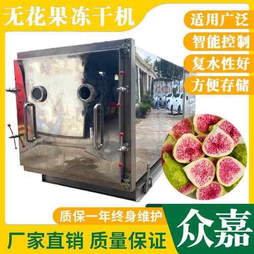 无花果冻干机 果蔬脆片冻干设备 火龙果金桔玫瑰茶FD冻干机