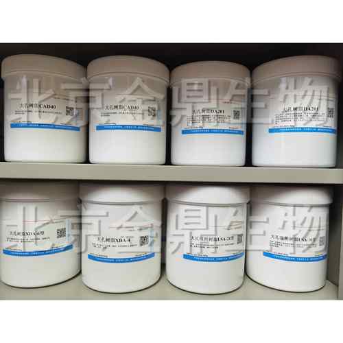 大孔吸附树脂HPD300/HPD400A/HPD400/HPD407/HPD417/HPD450A型