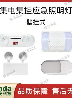 泰和安【36V】集电集控应急照明灯壁挂式双头灯