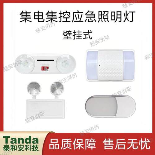 泰和安【36V】集电集控应急照明灯壁挂式双头灯