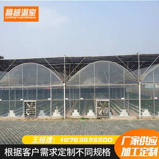 设计温室花卉养殖大棚 厂家安装 搭建农业畜牧家禽种植棚养殖大棚