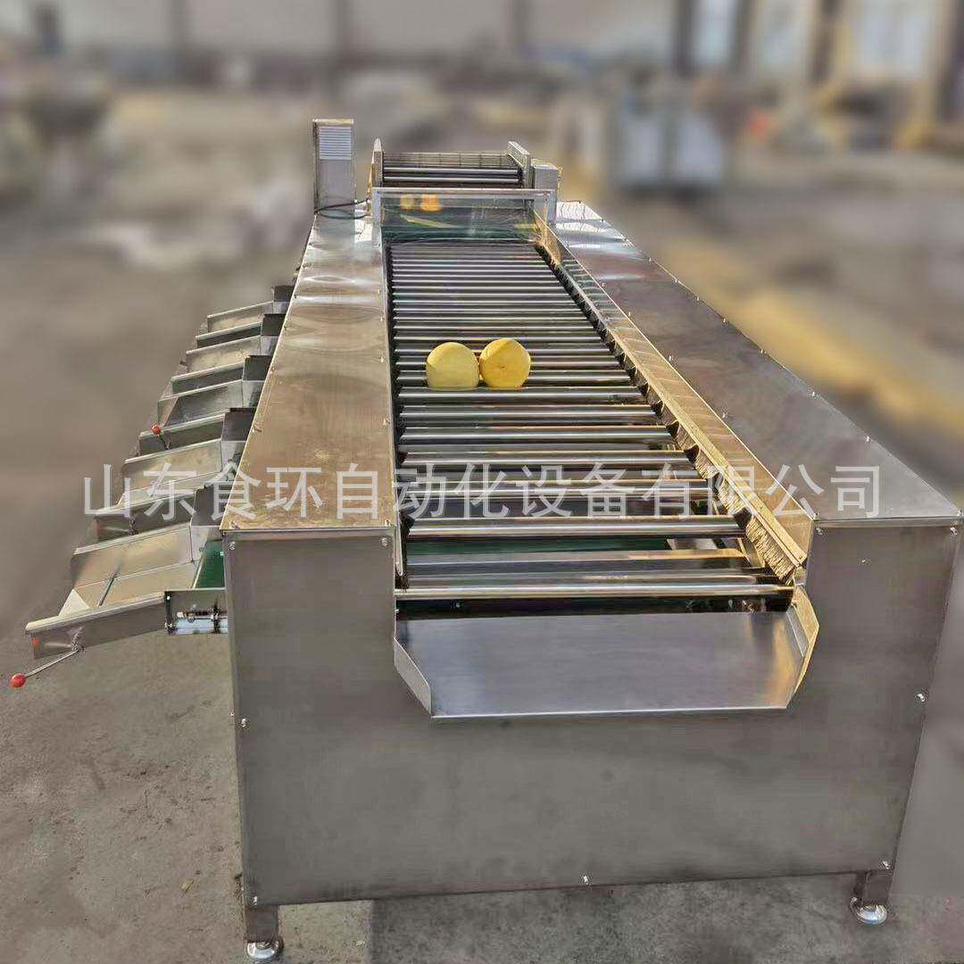 高效率玉米大小分选机不锈钢滚杠式分级机杏鲍菇大小分选机