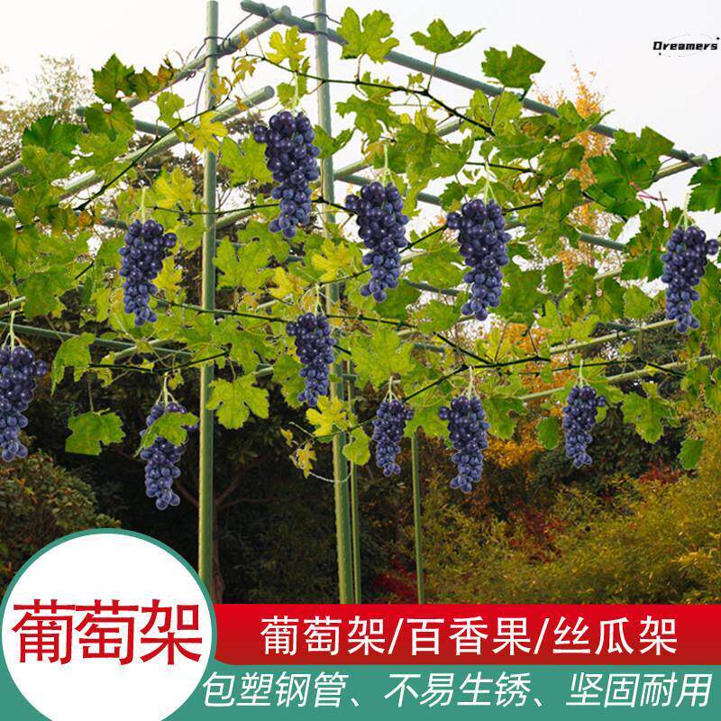 。葡萄藤架子爬藤架庭院户外花园葡萄藤攀爬架子室外花卉植物固定