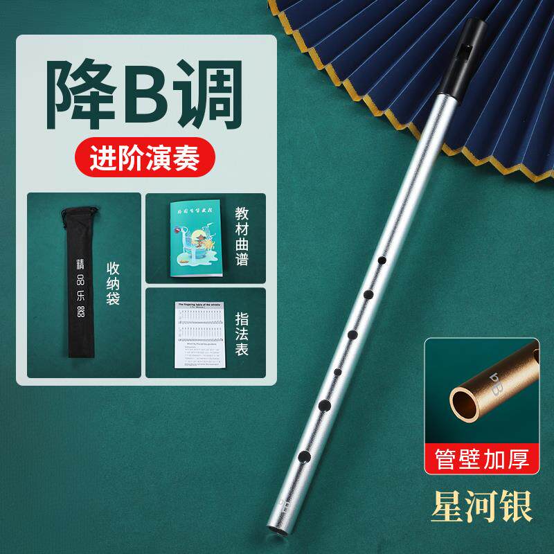 新款爱尔兰哨笛属D调C调降B调金笛口直笛竖笛初者入门专业款学六