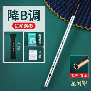新款爱尔兰哨笛属D调C调降B调金笛口直笛竖笛初者入门专业款学六