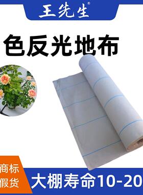 白色反光地布温室大棚花卉白色防草布10-20年无土栽培白色地布