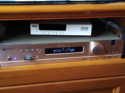 nobsound /诺普声sw-100超重10寸怎么样？听说是最大的坑爹牌子？