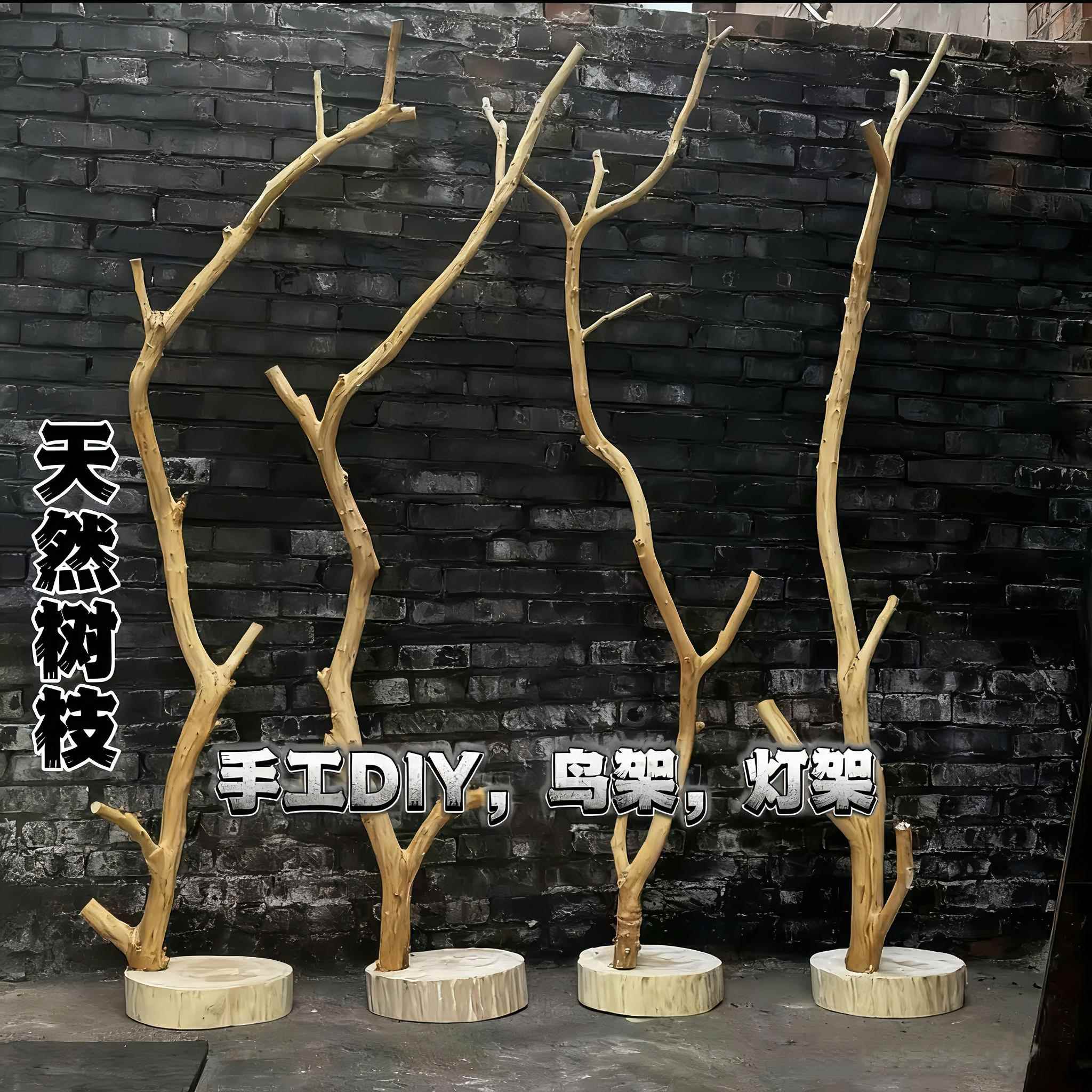 鸟架新中式灯架实木树枝衣帽架原木落地挂衣架干树枝鸟站架干枝