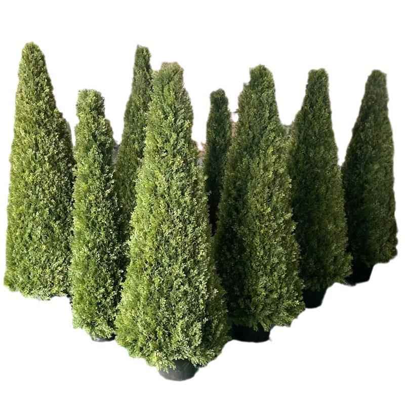 仿真松柏树锥形仿真松柏婚庆布置仿真绿植家居酒店装饰植物