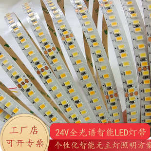 全光谱智能LED贴片灯带24V三安芯片led灯珠双色调光调色