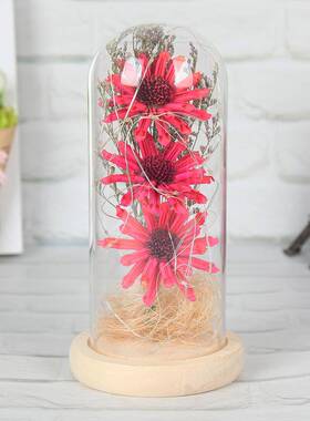 工厂3朵太阳花干花花束芝麻花玻璃灯罩LED节日礼品永生花夜灯