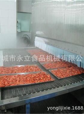 肉丸速冻机 隧道式急速冷冻设备冻库流水线 低温制冷机器
