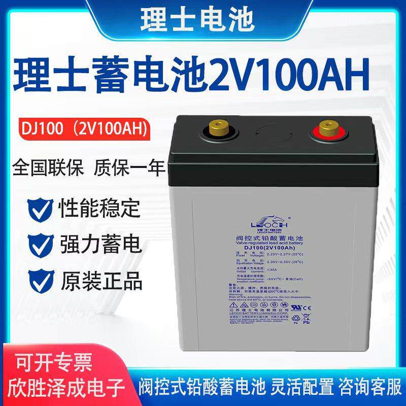 LEOCH理士蓄电池2V100AH 阀控密封式铅酸免维护蓄电池UPS/EPS电源